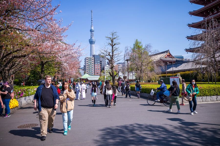 Cherry blossoms at Sensoji Temple with Tokyo Skytree
