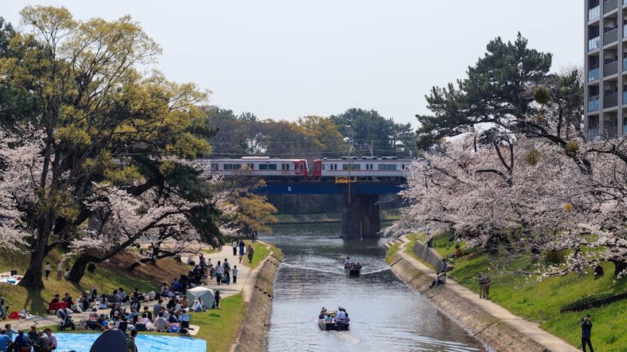 Hanami picnic under cherry blossoms by a Tokyo canal with a train passing overhead