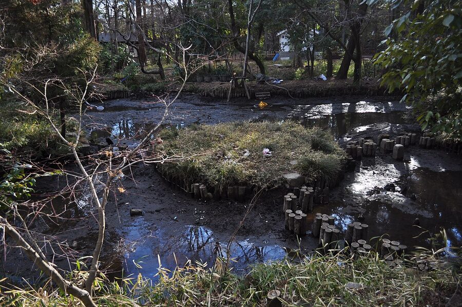 Benten pond at Jindaiji temple in Chofu with traditional architecture