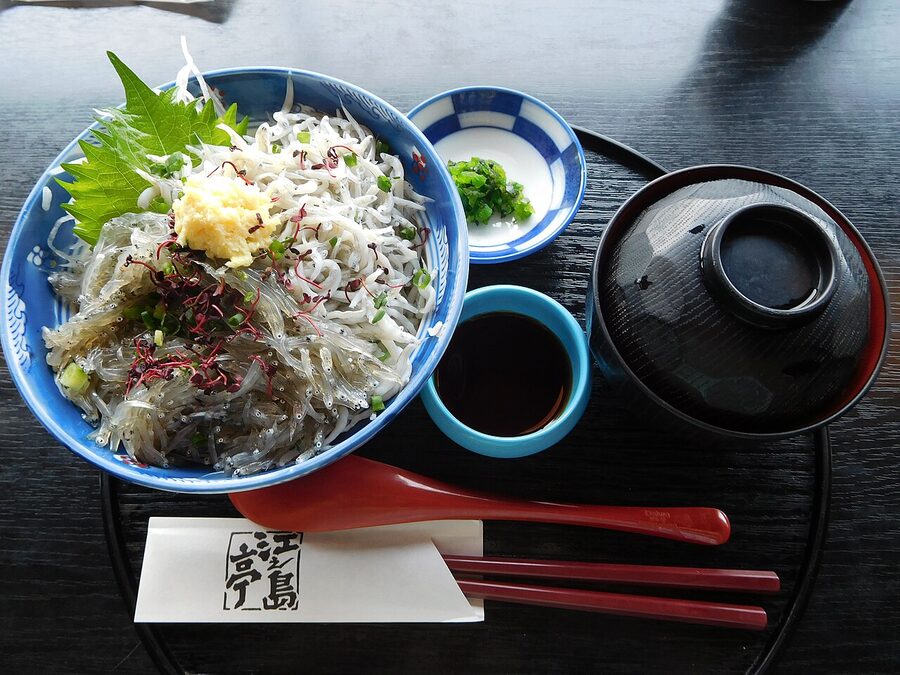 Shirasu-don whitebait rice bowl Enoshima specialty