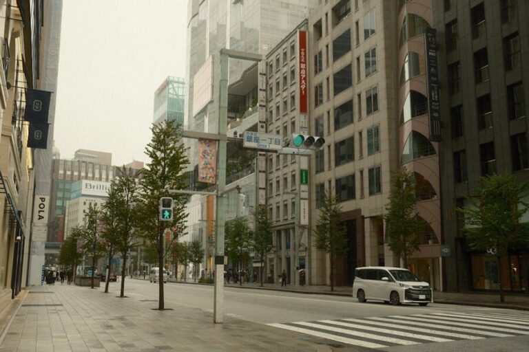 A Guide to Ginza, Tokyo