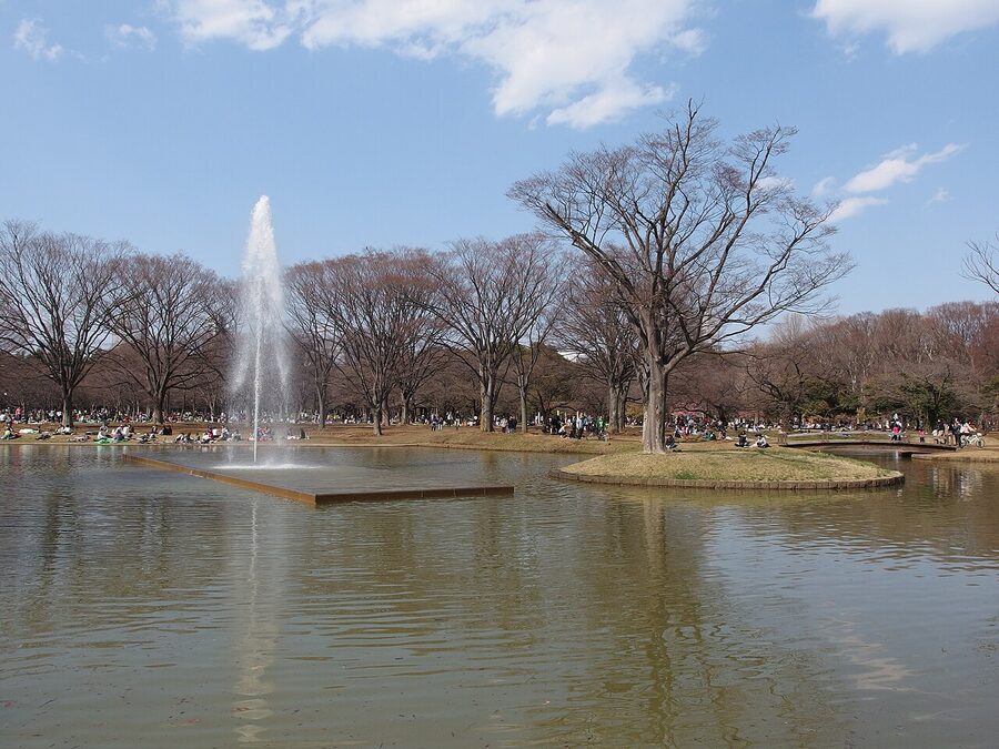 Yoyogi Park Tokyo open green space