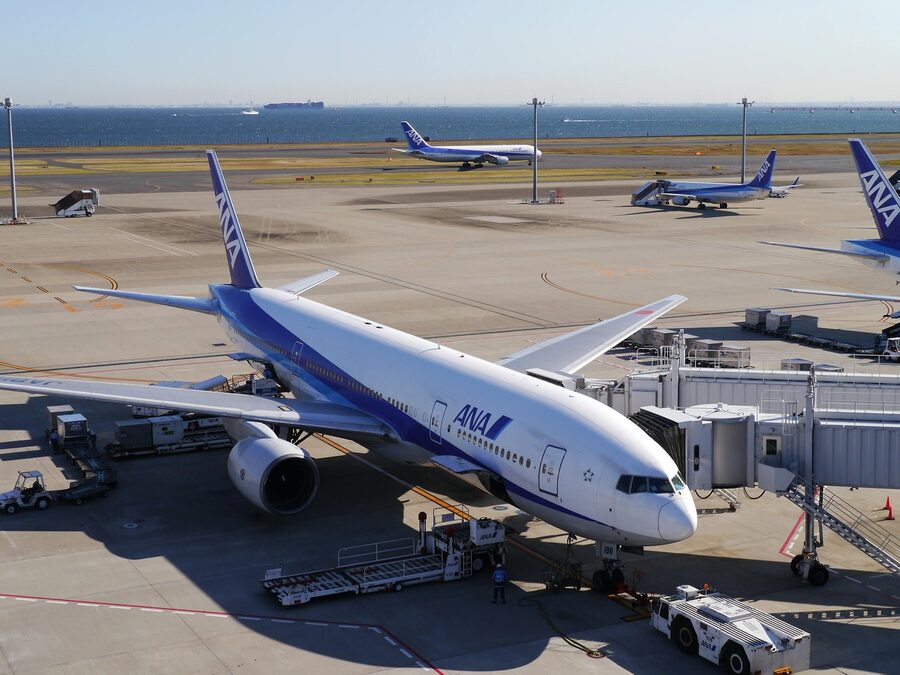 ANA jet at Haneda Airport terminal gate
