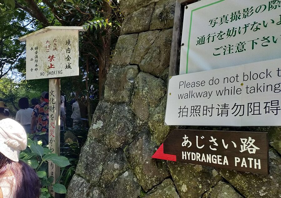 Entrance to the hydrangea path at Hasedera Temple in Kamakura