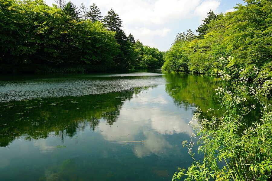 Walking path around Kumoba Pond Karuizawa