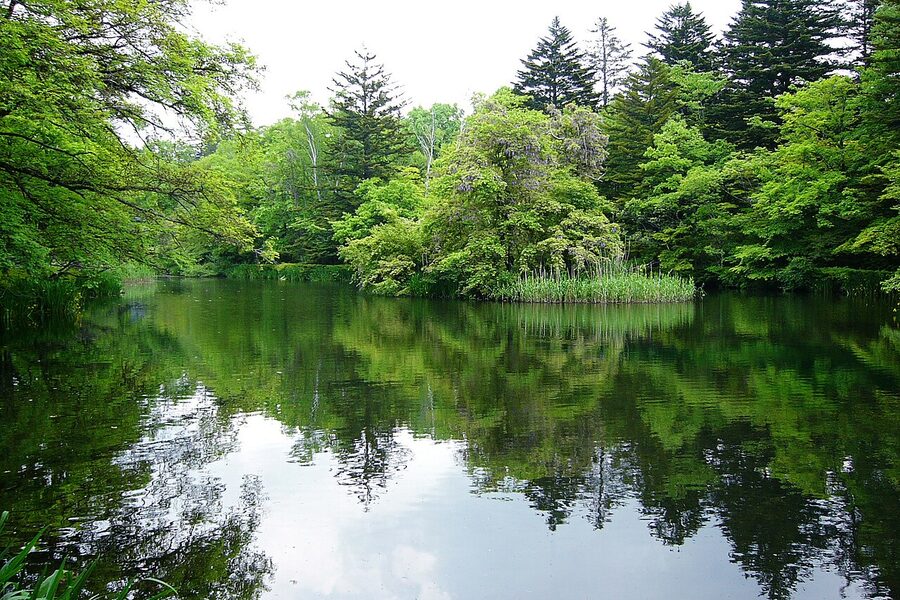 Kumoba Pond surrounded by trees in autumn Karuizawa