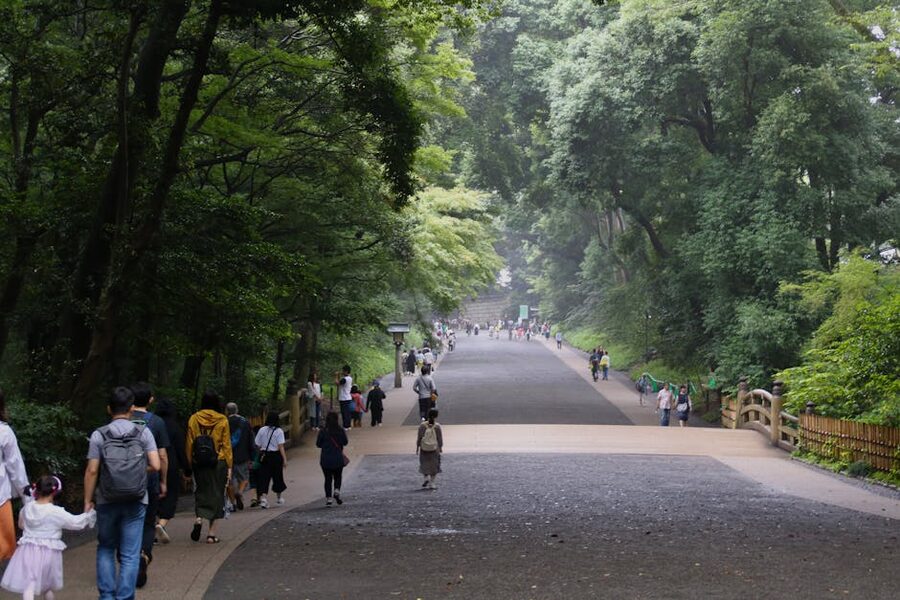 Wide gravel path into the forest at Meiji Shrine in Tokyo