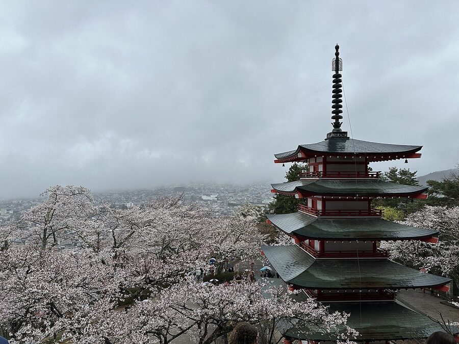 Mount Fuji from Arakurayama Sengen Park