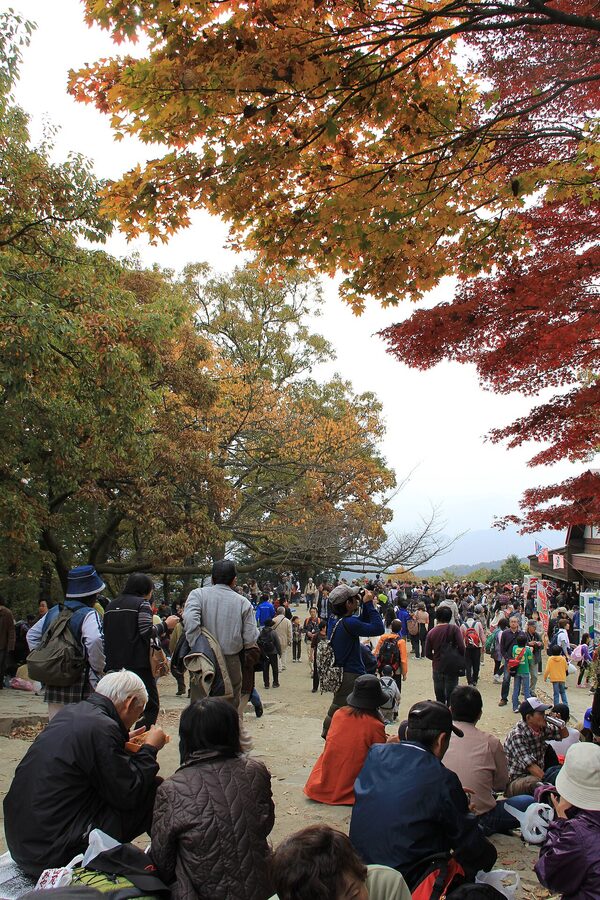 Mt Takao summit observation deck with autumn koyo crowds