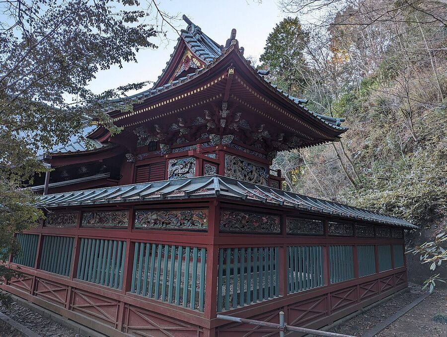Mt Takao winter trail with bare cedar trees