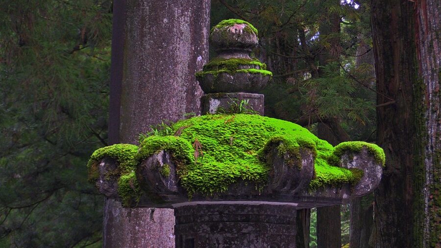 Moss-covered stone lantern at Nikko