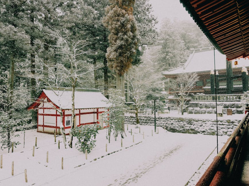 Nikko Toshogu Shrine in winter snow