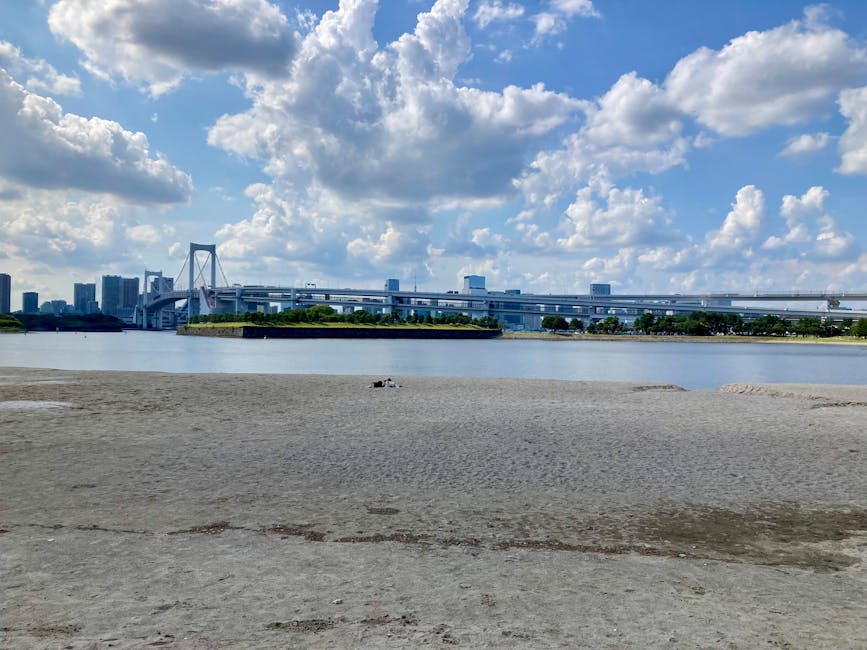Odaiba beach with Rainbow Bridge and Tokyo skyline in the background