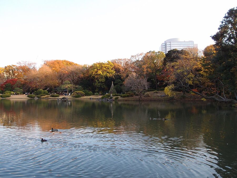 Rikugien central pond reflecting trees in late autumn, Tokyo