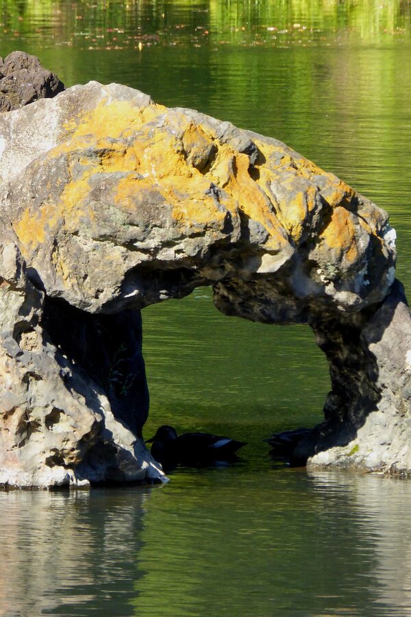 Horaijima rock island in the water at Rikugien Garden, Tokyo