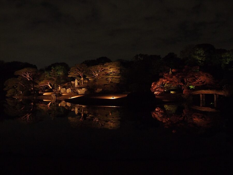 Illuminated maple trees in Rikugien Garden during autumn light-up, Tokyo