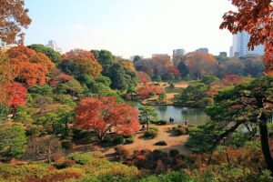 Rikugien garden in late autumn viewed from Fujishiro-toge hill, Tokyo