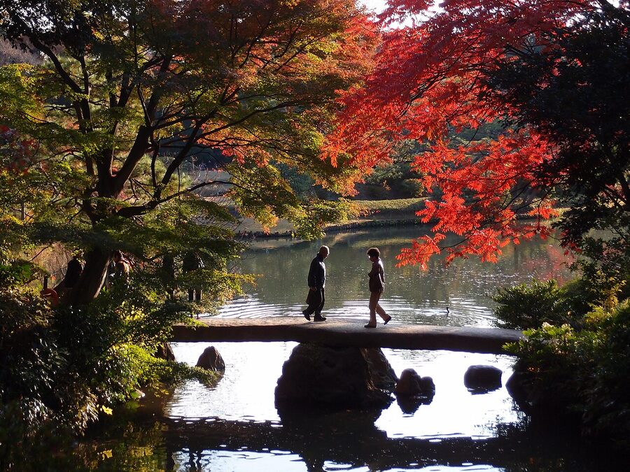 Wooded stroll path through maple trees at Rikugien Garden, Tokyo