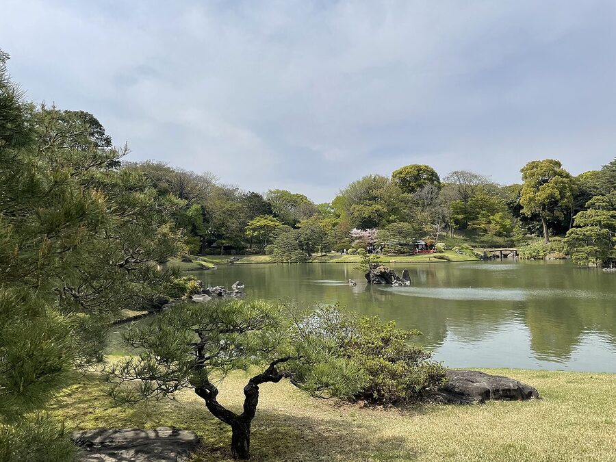 Rikugien garden in spring seen from Fujishiro-toge viewpoint, Tokyo