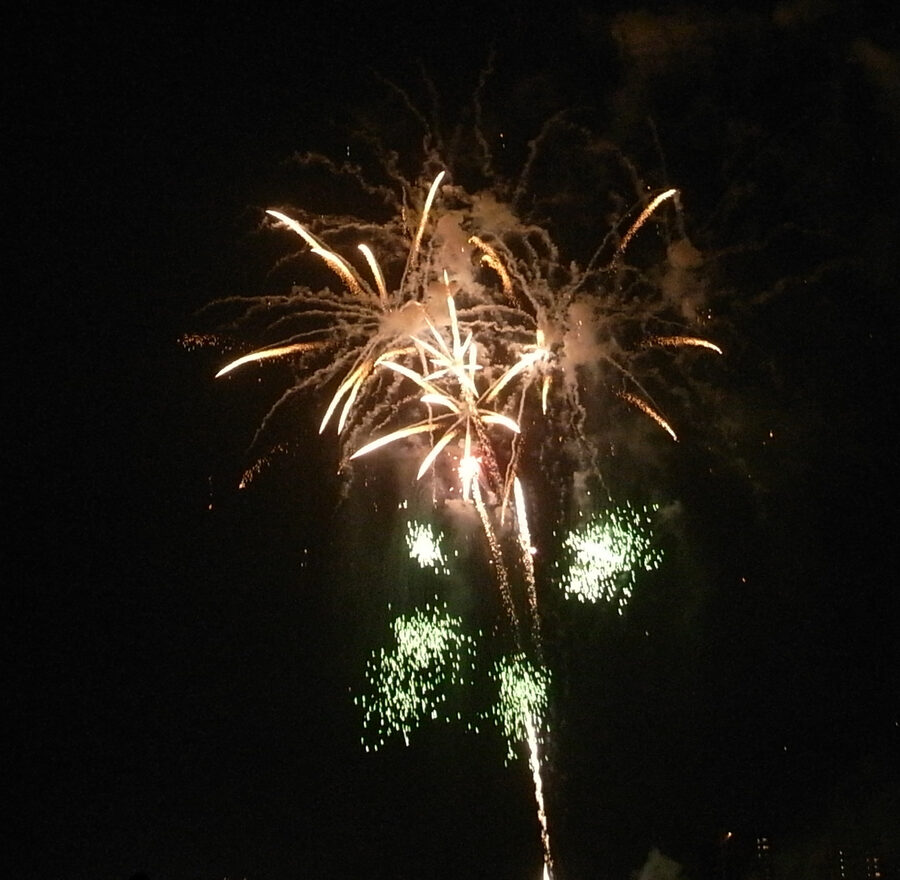 Tamagawa fireworks 2009 large burst from the Setagaya side