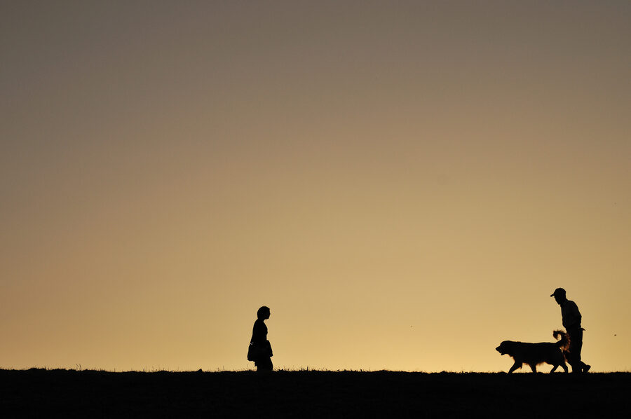 The Edogawa river at Shibamata with the levee walkway