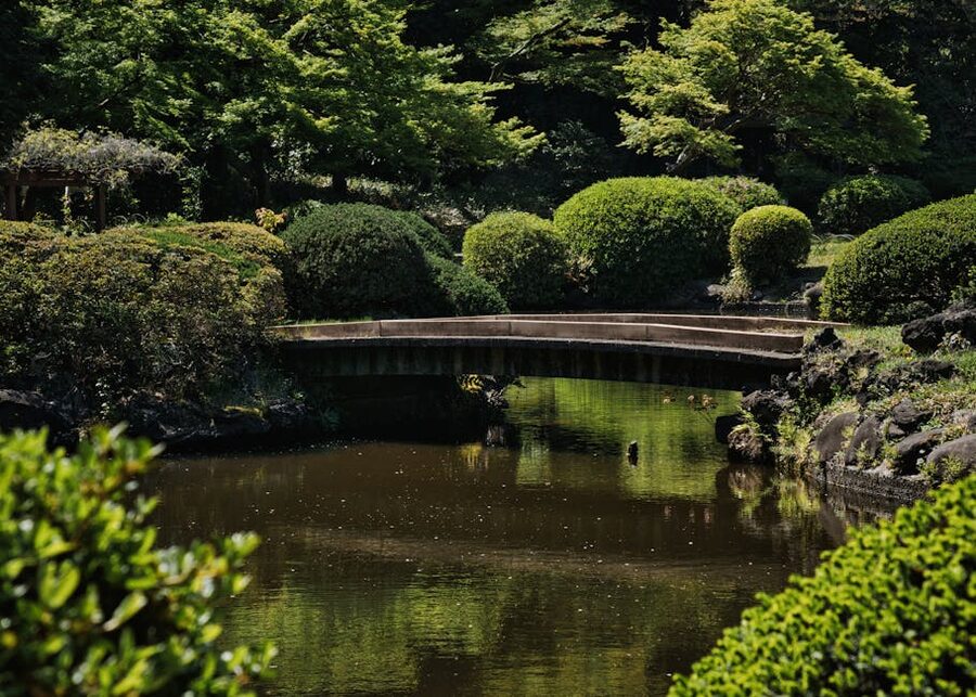 Bridge over a pond at Shinjuku Gyoen