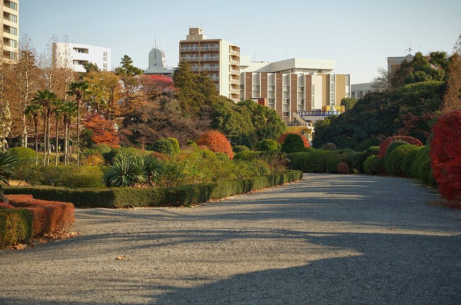 French Formal Garden section at Shinjuku Gyoen with plane tree avenue
