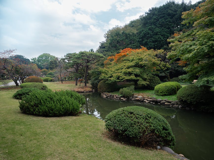 Open lawn and pond in the English Landscape section of Shinjuku Gyoen