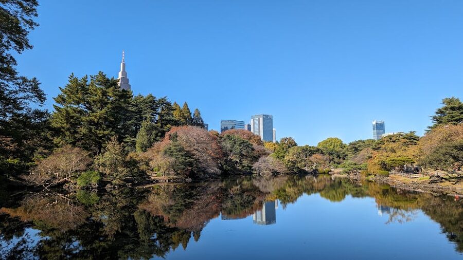 Shinjuku Gyoen pond with Tokyo skyline reflected in the water