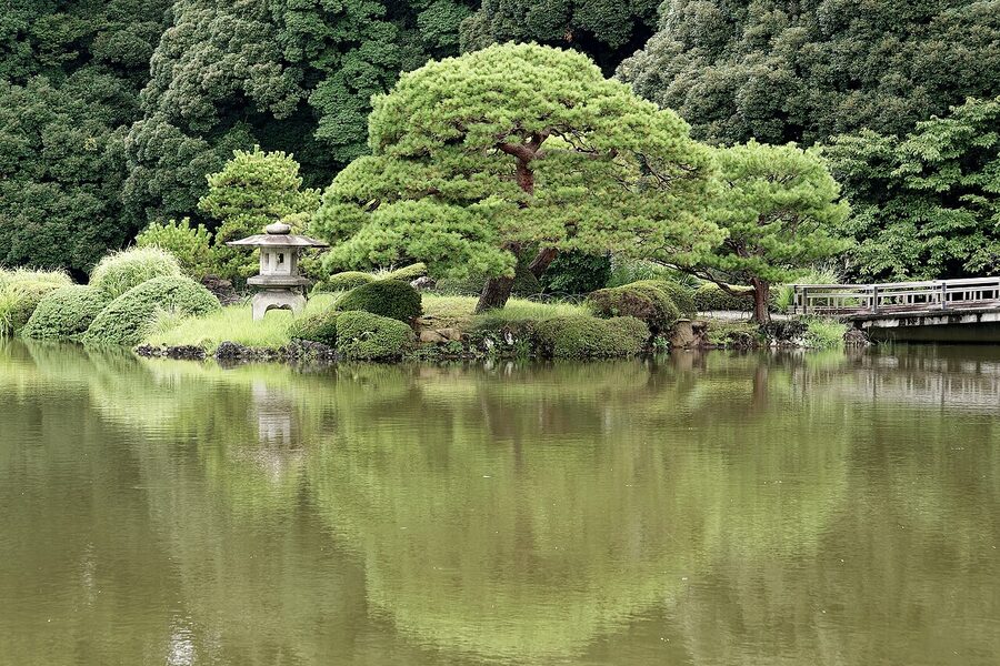 Upper Pond at Shinjuku Gyoen