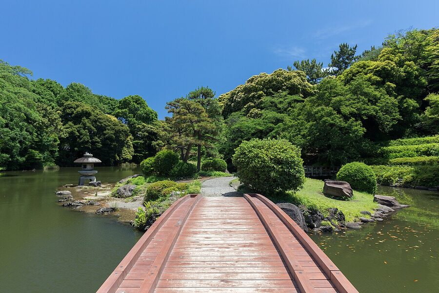 Wooden footbridge over pond in Japanese traditional garden section of Shinjuku Gyoen