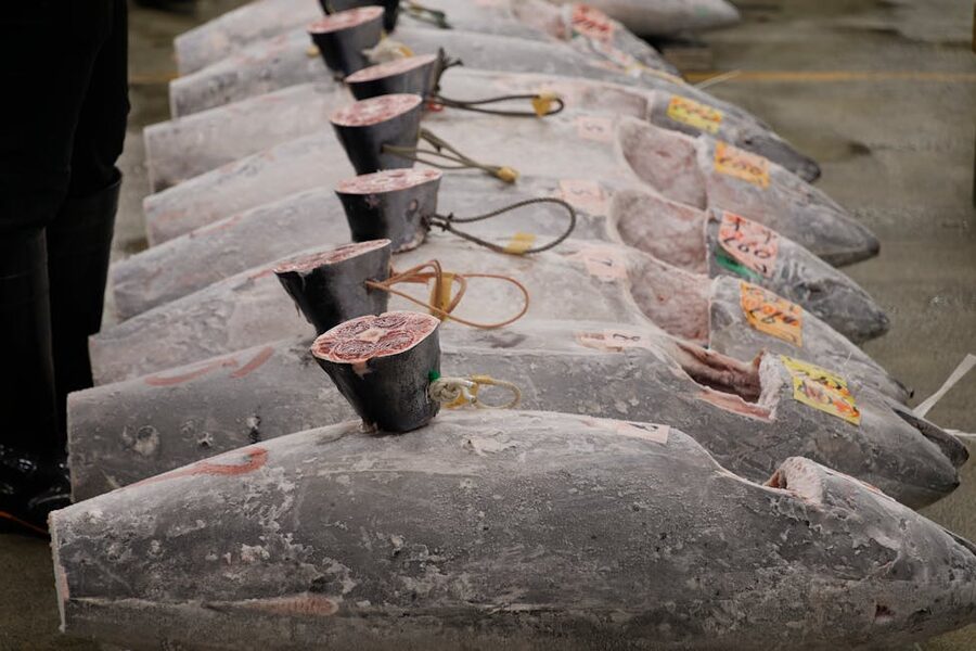 Frozen tuna at a Tokyo fish market