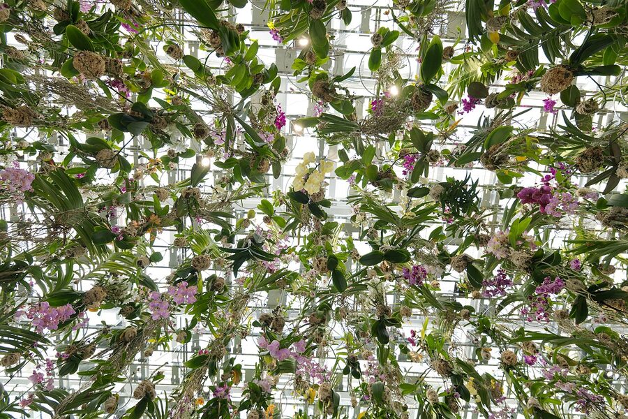 Floating Flower Garden hanging orchids at teamLab Planets Tokyo