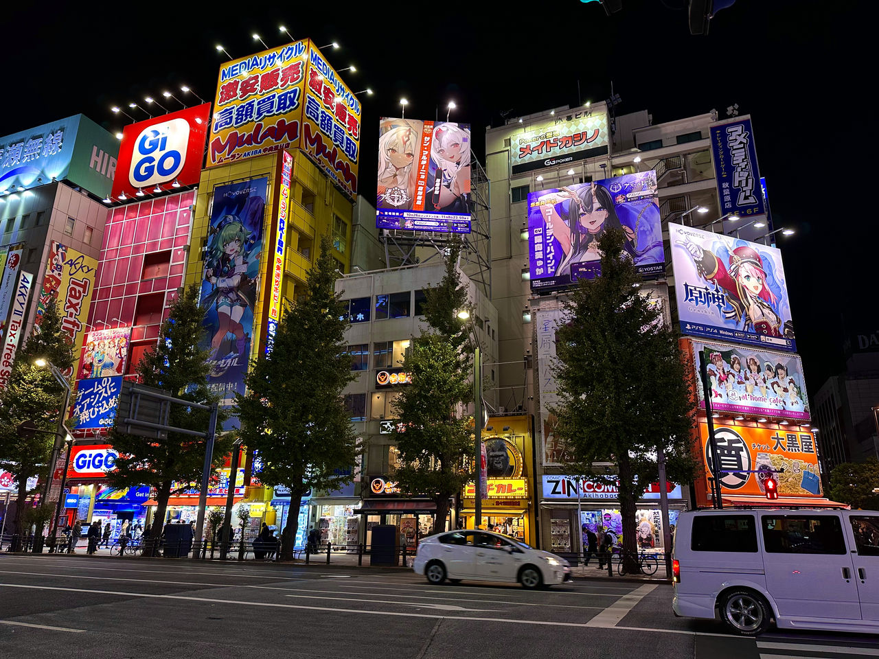 The neon-lit streets of Akihabara Electric Town at night