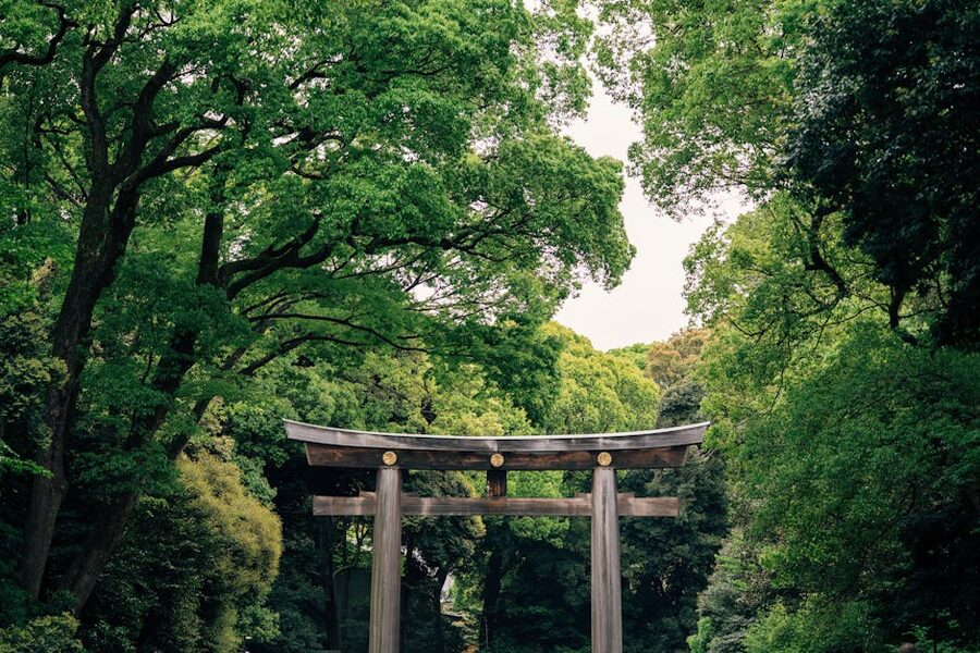 The wooden torii gate at the south entrance of Meiji Shrine