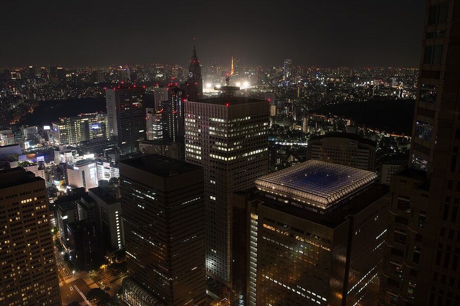 The view from the Tokyo Metropolitan Government Building observation deck