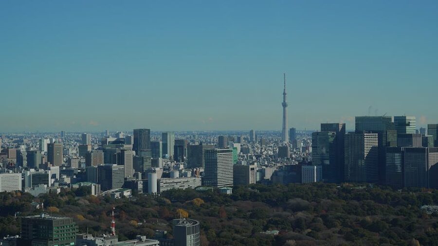 Aerial view of the Tokyo skyline with Tokyo Skytree rising above the city