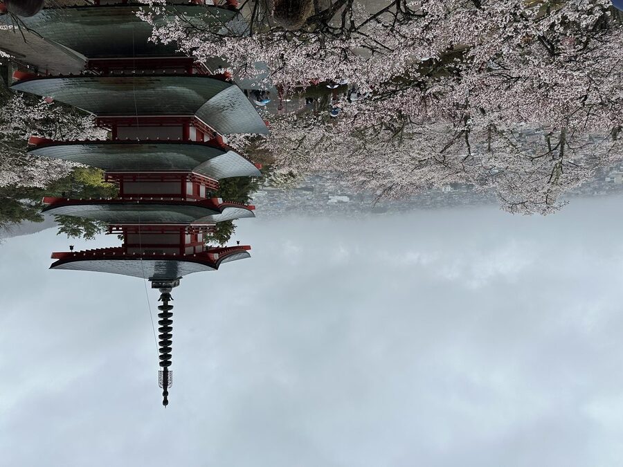 Chureito Pagoda above Arakurayama Sengen Park with Mt Fuji in the background