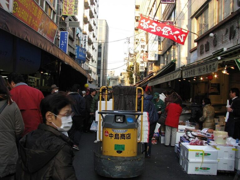 A Guide to Tsukiji Outer Market