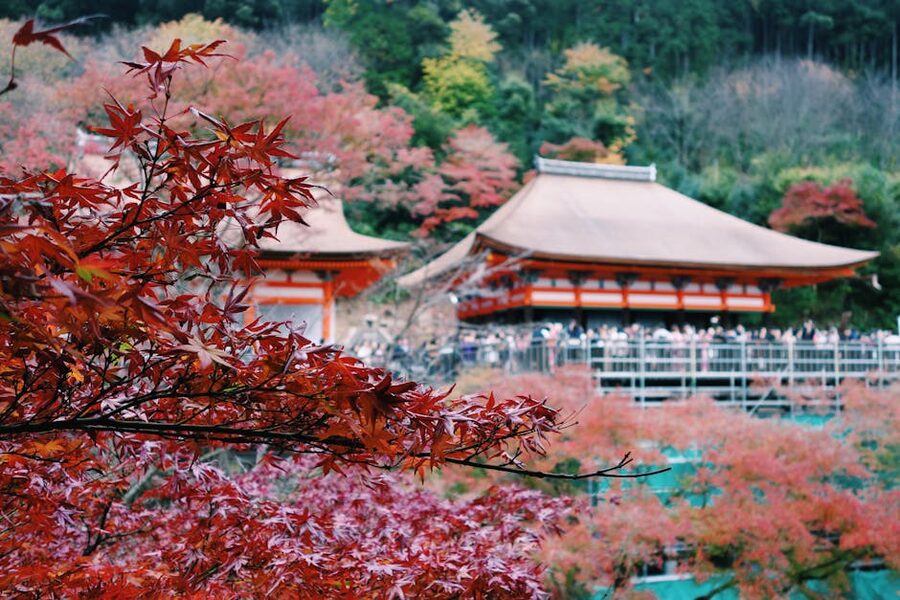 Kiyomizu-dera temple surrounded by red autumn maple leaves, Kyoto