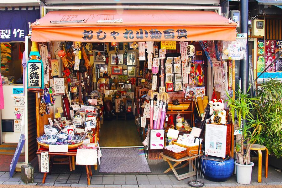 Yanaka Ginza cat town street with shop signs