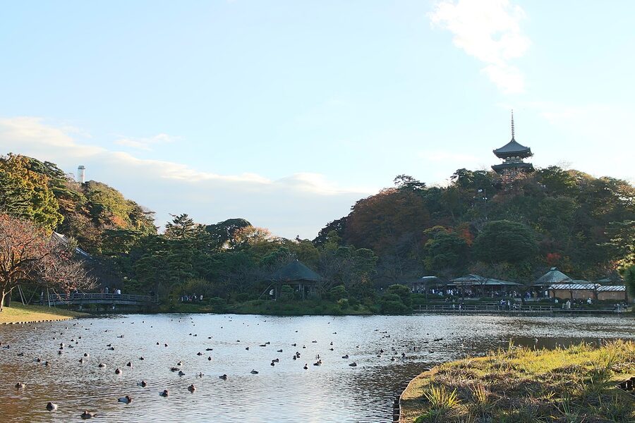 Autumn maples reflected in the pond at Sankeien Garden in Yokohama