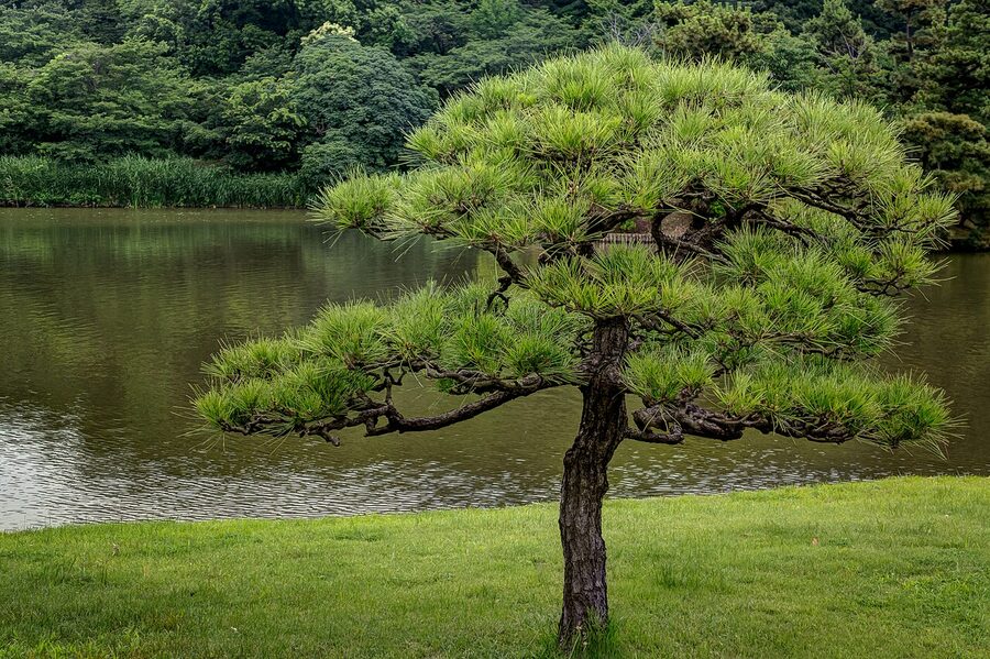 Pond and traditional buildings at Sankeien Garden in Yokohama