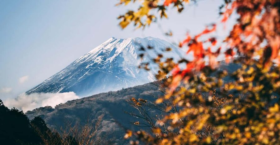 1-Day Mt Fuji and Hakone Sightseeing trip from Tokyo - Key points to know before booking