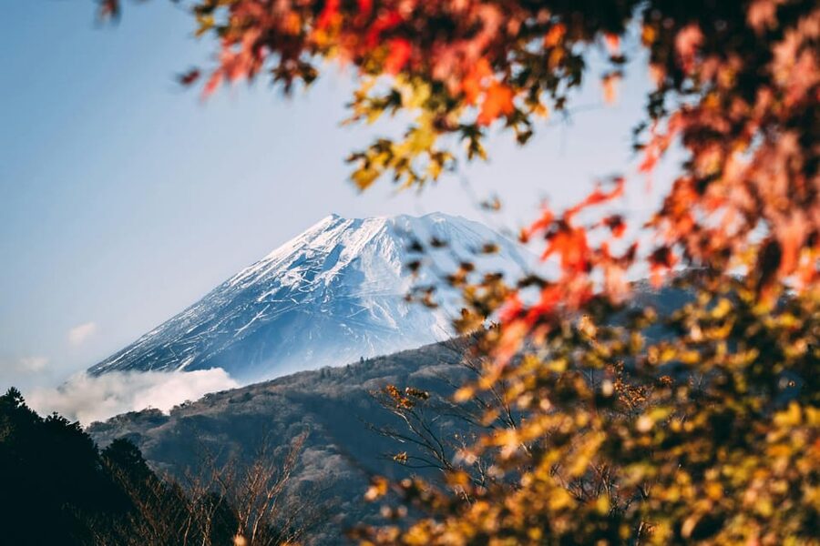 1-Day Mt Fuji and Hakone Sightseeing trip from Tokyo - The big idea: Mount Fuji without the train shuffle