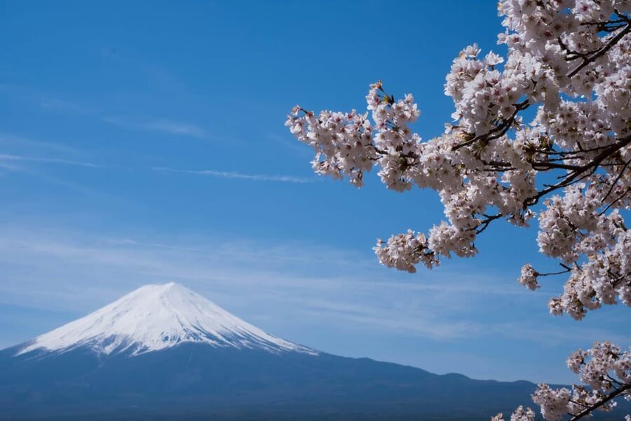 1-Day Mt Fuji and Hakone Sightseeing trip from Tokyo - Lake Kawaguchi: the main Fuji viewing stop