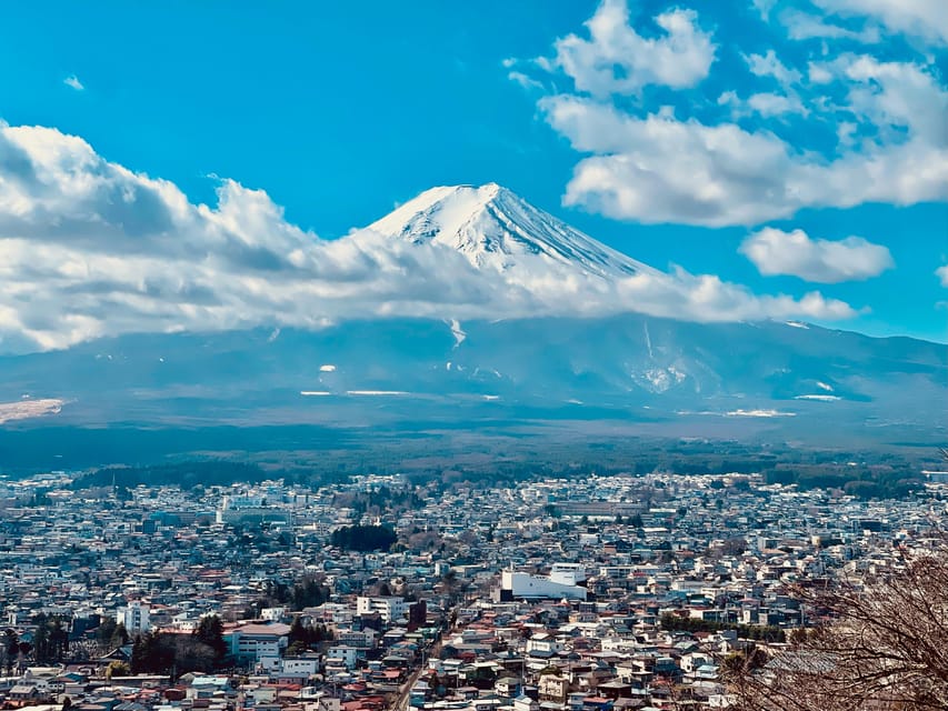 1-Day Mt Fuji and Hakone Sightseeing trip from Tokyo - Chureito Pagoda and the classic postcard view