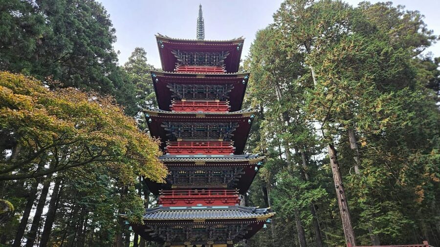 1 Day Nikko Wonders Tour from Tokyo - Timing, communication, and the risk of a rushed day