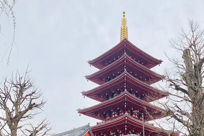 1 Day Private Charter Tokyo Tour (Green Number Plates) - Shibuya Crossing and Hachiko
