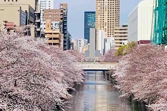 1 Day Private Charter Tokyo Tour (Green Number Plates) - Shinjuku Gyoen: the stop most tied to the season